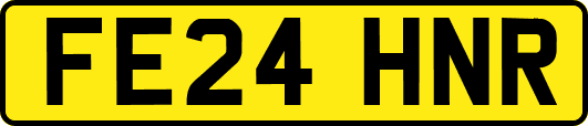 FE24HNR