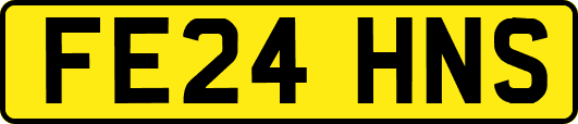 FE24HNS