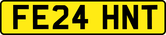 FE24HNT