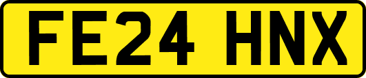 FE24HNX