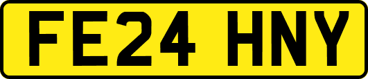 FE24HNY