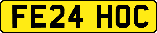 FE24HOC