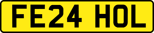 FE24HOL