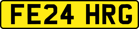 FE24HRG
