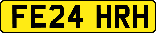 FE24HRH