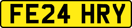 FE24HRY