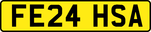 FE24HSA