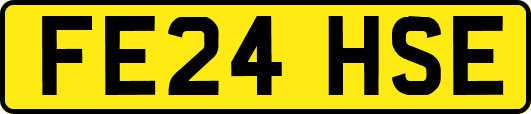 FE24HSE