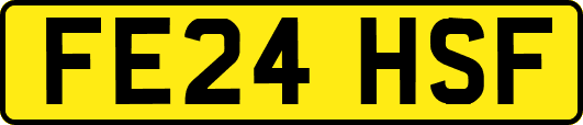 FE24HSF