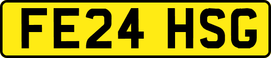 FE24HSG