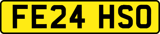 FE24HSO