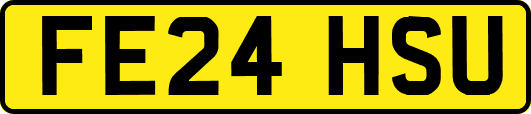 FE24HSU
