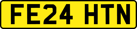FE24HTN
