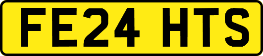 FE24HTS