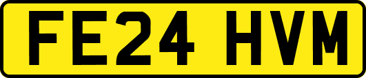 FE24HVM
