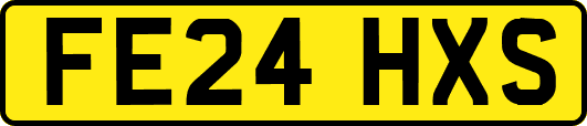FE24HXS
