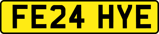 FE24HYE