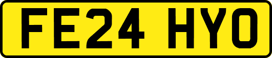 FE24HYO