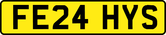 FE24HYS