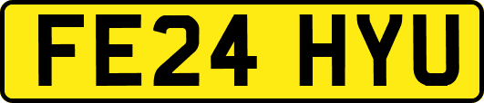 FE24HYU