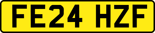 FE24HZF