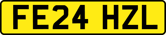 FE24HZL