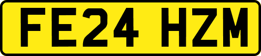 FE24HZM