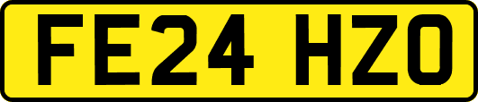 FE24HZO