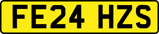 FE24HZS