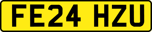 FE24HZU