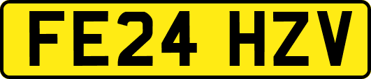 FE24HZV