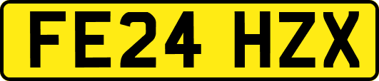 FE24HZX