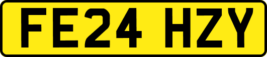 FE24HZY