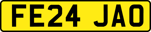 FE24JAO