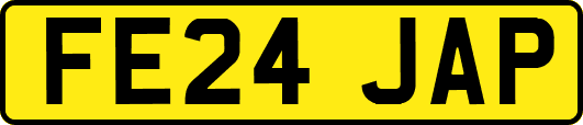 FE24JAP