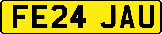 FE24JAU
