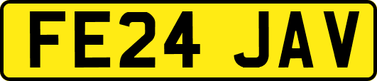 FE24JAV
