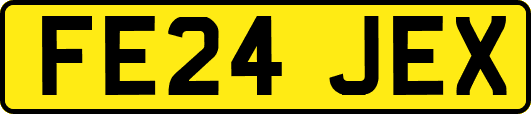 FE24JEX