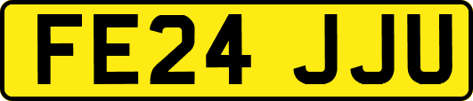 FE24JJU
