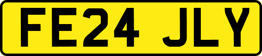 FE24JLY