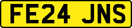 FE24JNS