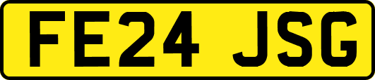 FE24JSG