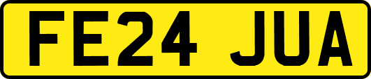 FE24JUA