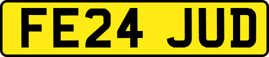 FE24JUD