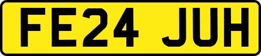 FE24JUH