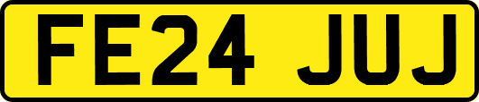 FE24JUJ