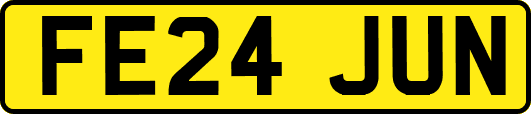 FE24JUN