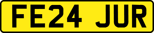 FE24JUR