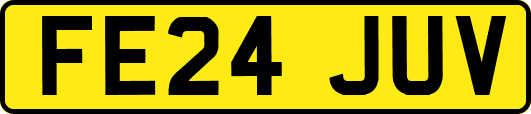 FE24JUV