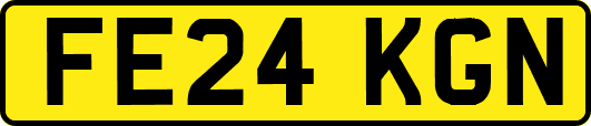 FE24KGN